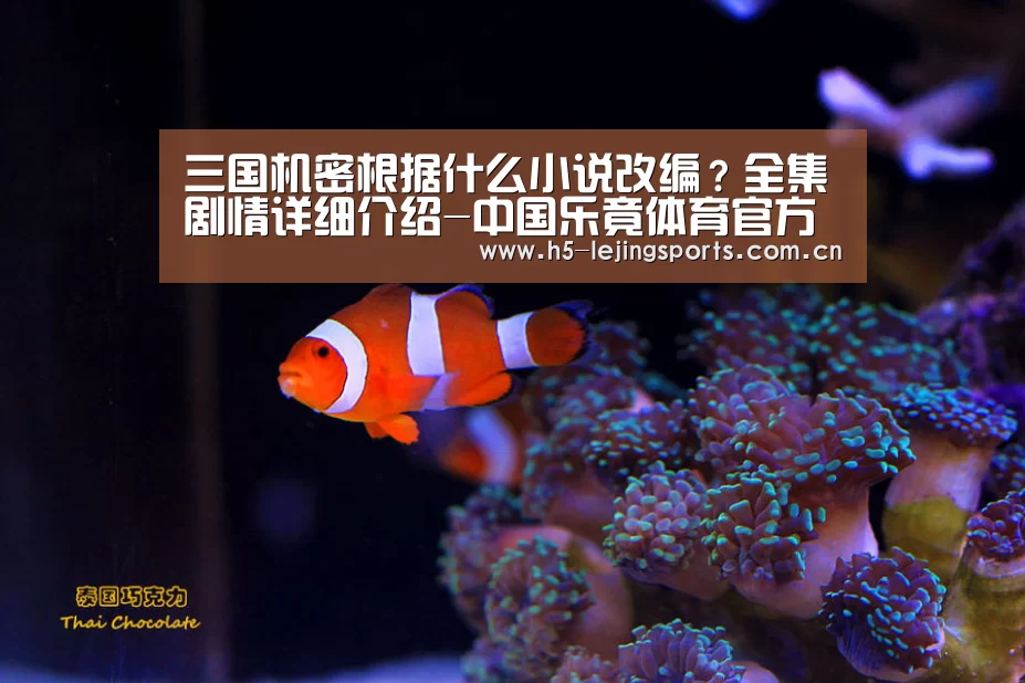 乐竟体育官方