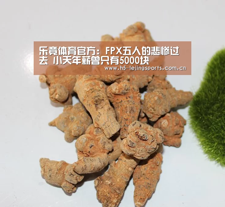 乐竟体育官方:FPX五人的悲惨过去 小天年薪曾只有5000块(图2) 乐竟体育官方